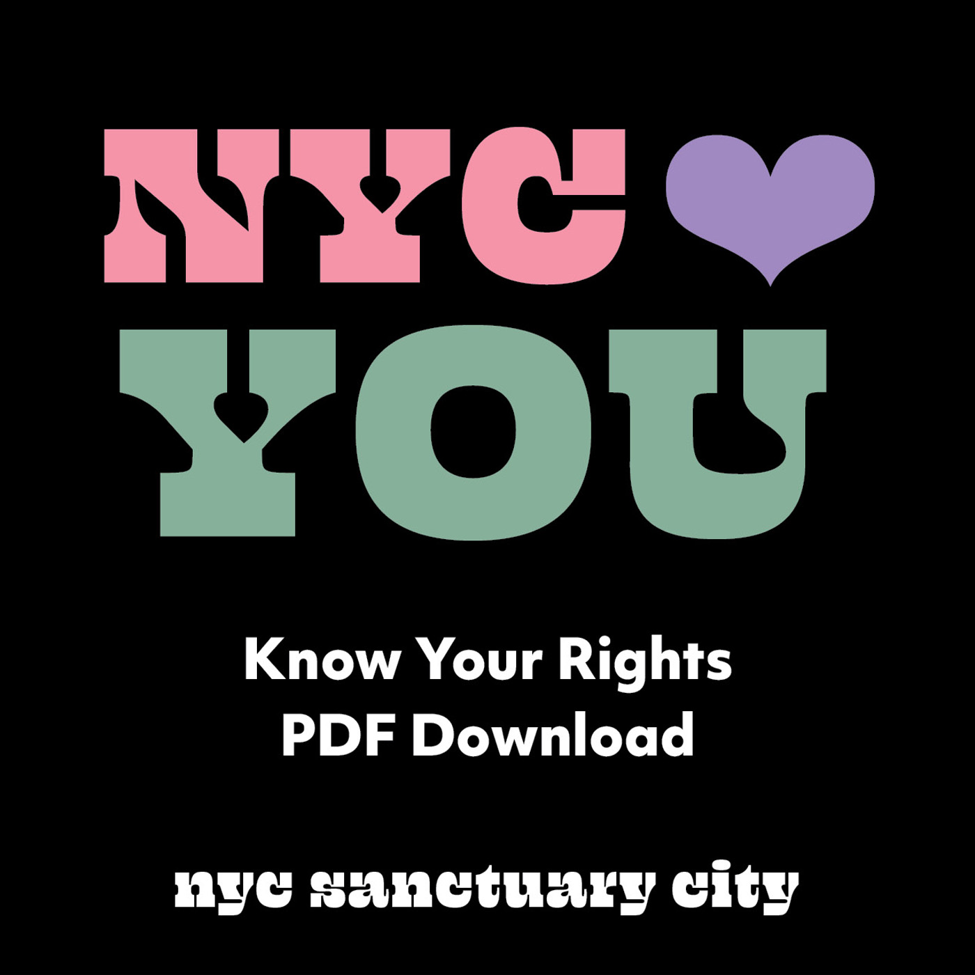 Know Your Rights PDF Download IMG - English version