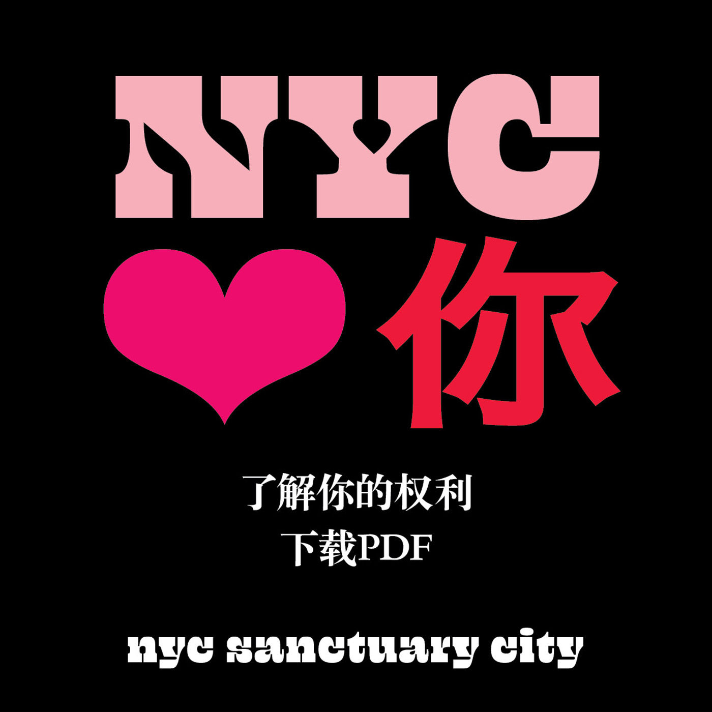 Know Your Rights PDF Download IMG - Mandarin version