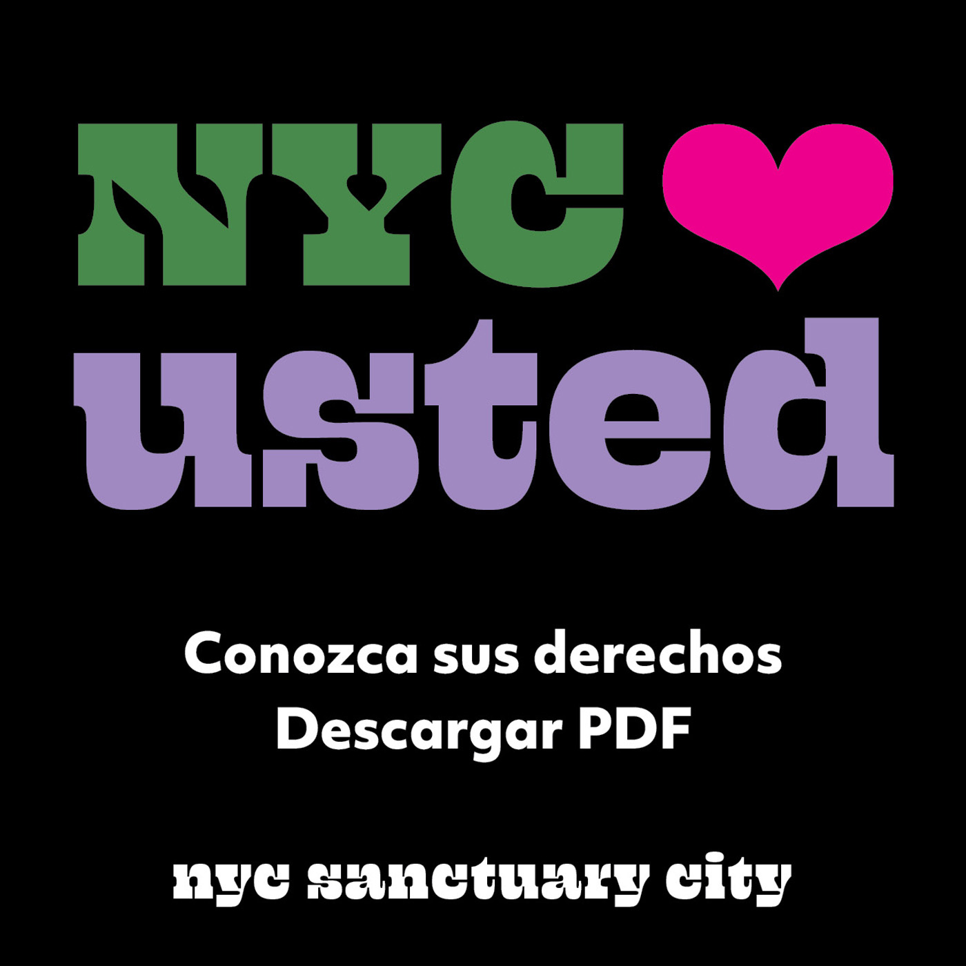 Know Your Rights PDF Download IMG - Spanish version